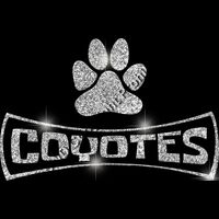 GLT94 SILVER GLITTER Thumbnail