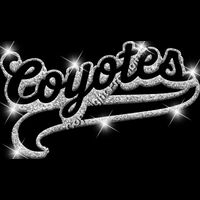 GLT78 SILVER GLITTER Thumbnail